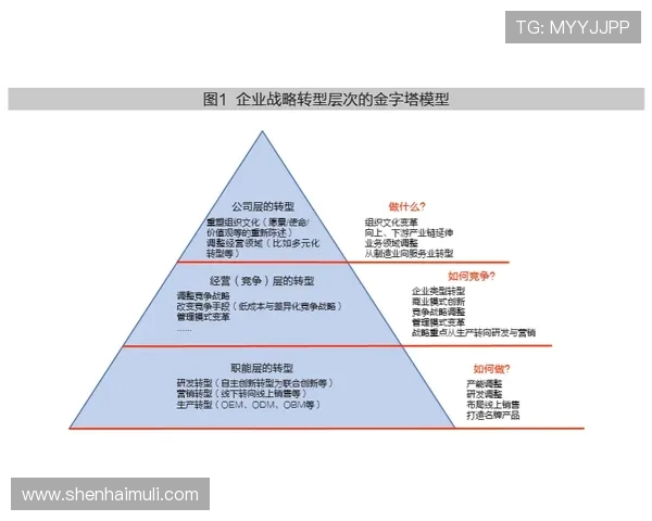 FPX战队如何在DOTA2赛场上实现快速变革与战略调整的深度剖析