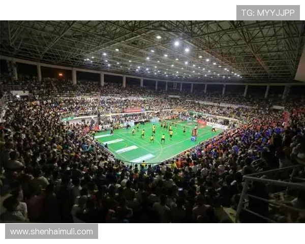 杭州排球队在杯赛中的意识表现分析与点评