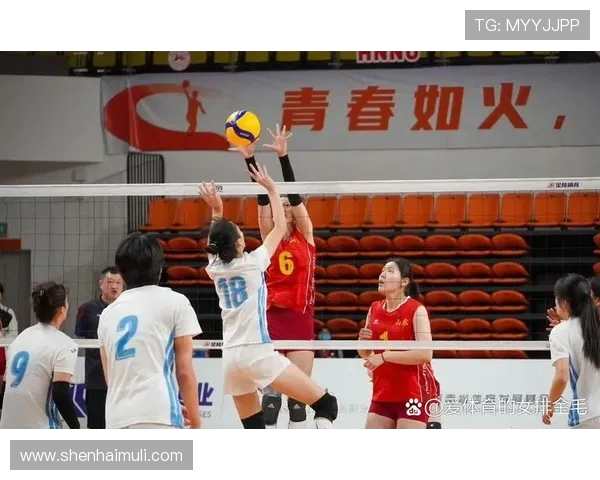 中国女排与江苏男排巅峰对决展现排球魅力与竞技精神的精彩时刻