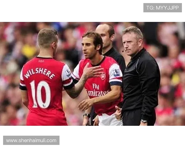 吕迪格的成长之路与足球生涯的辉煌成就分析