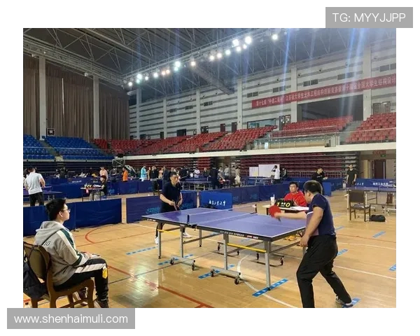 南京乒乓球队的拼搏历程与荣耀时刻全景回顾