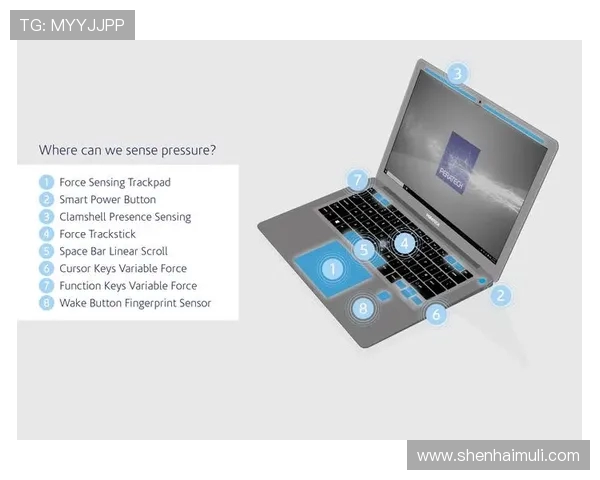 数据分析揭示WE力量的表现与潜力探讨