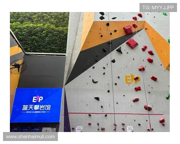 武汉攀岩队的力量与精神：探索攀岩运动的魅力与挑战