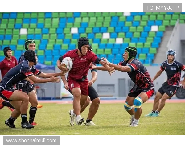 深圳篮球队战术解析与未来发展方向的深入探讨