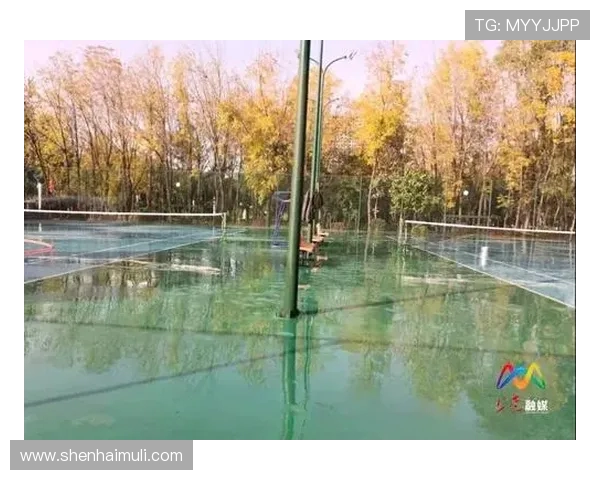 西安网球队如何通过反击革新重塑竞技风格与团队精神