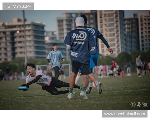 张磊独家分享飞盘技巧与心得体会助你成为飞盘高手